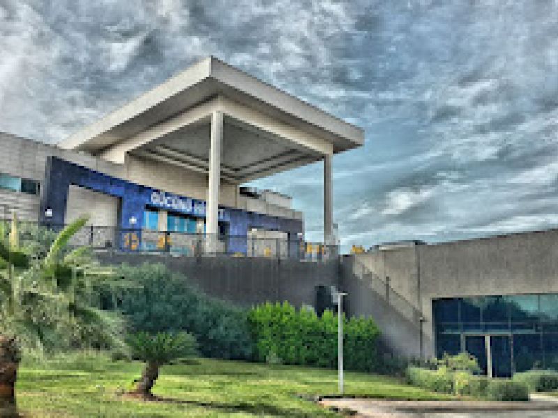 Elexus Resort and SPA Hotel