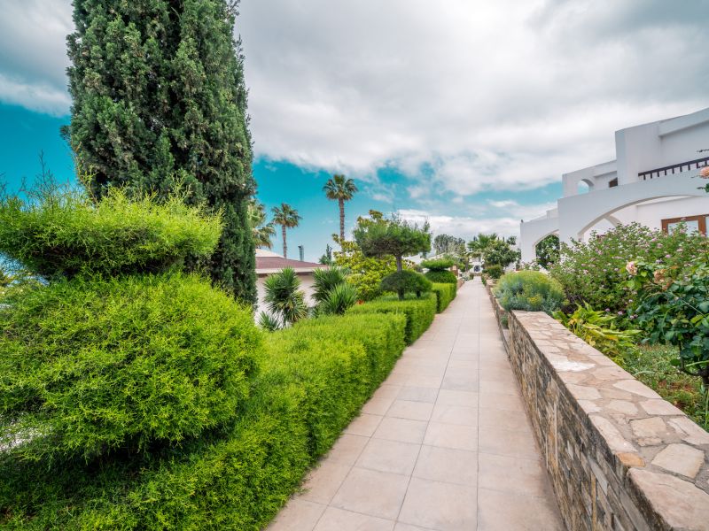 Olive Tree Hotel