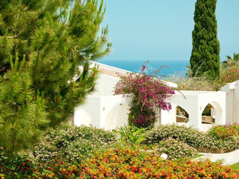Olive Tree Hotel