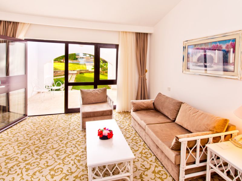 Olive Tree Hotel