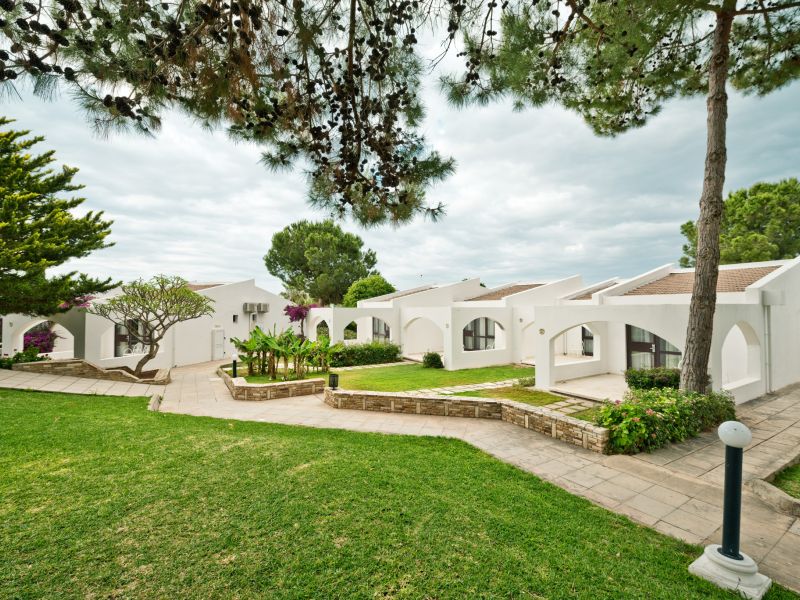 Olive Tree Hotel