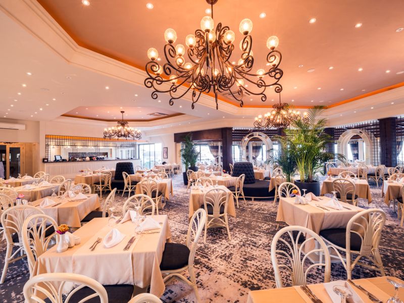 Olive Tree Hotel