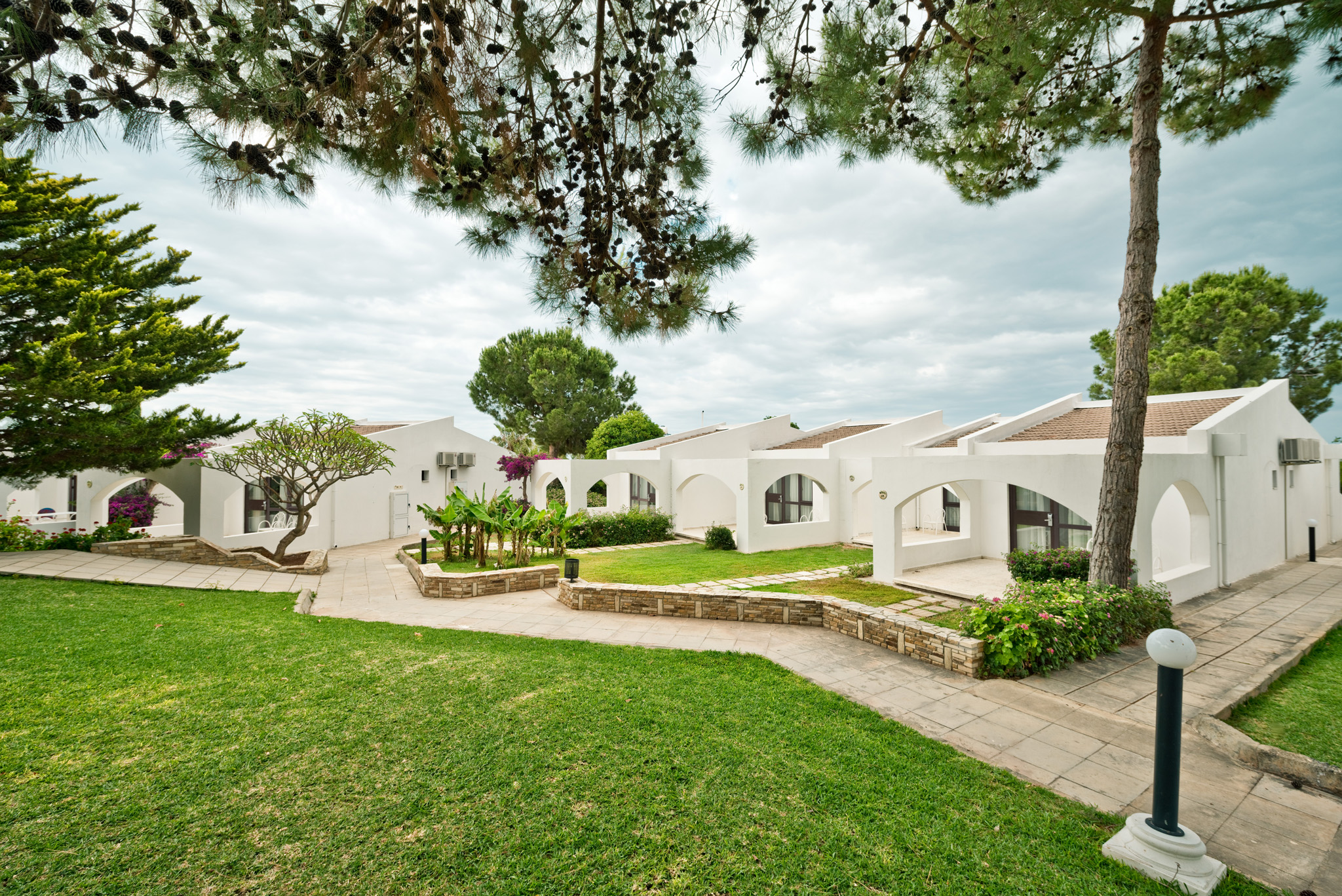 Olive Tree Hotel